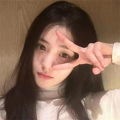 大宋奇案之狸猫换太子传奇